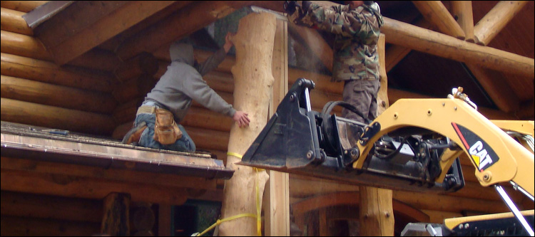 Log Home Log Replacement  Belle Valley, Ohio