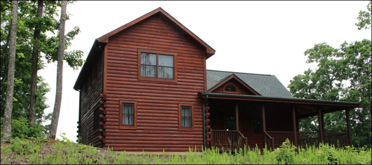Professional Log Home Borate Application  Noble County, Ohio