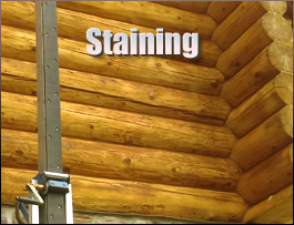  Noble County, Ohio Log Home Staining